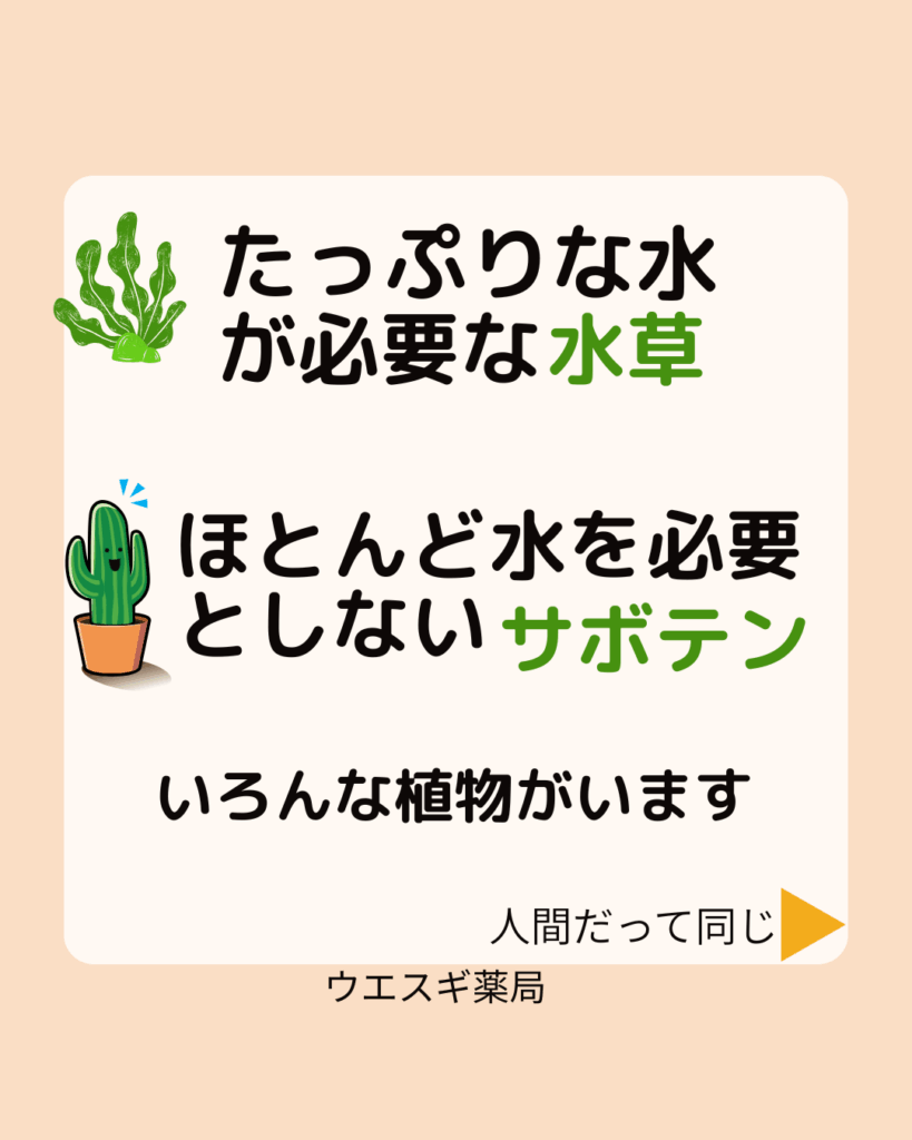 タイプ別水分補給