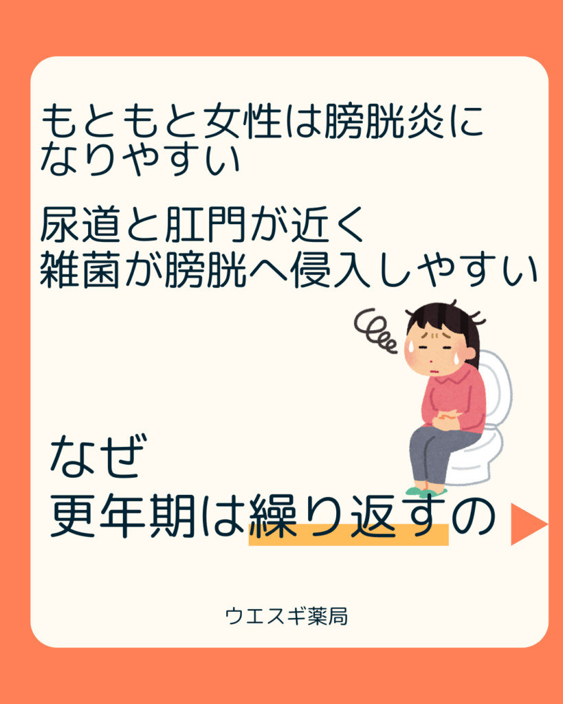 女性が膀胱炎になりやすいワケ