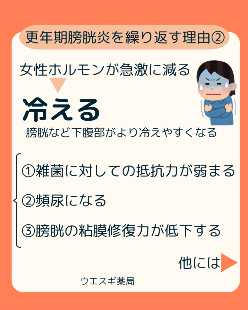 膀胱炎を繰りかえす理由