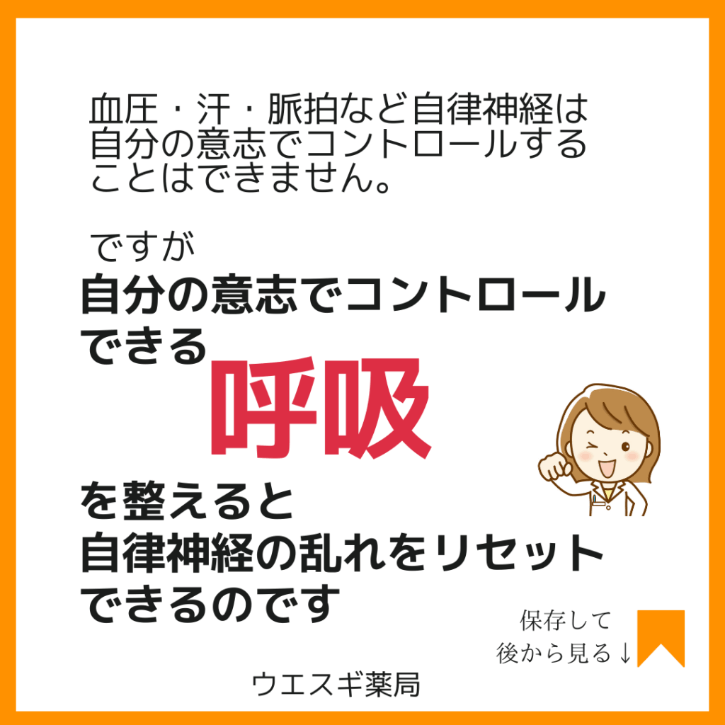 呼吸と自律神経