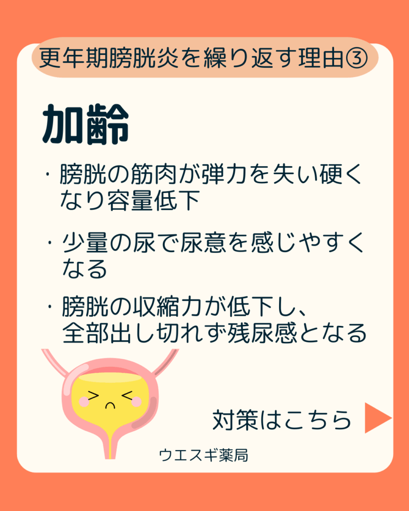 膀胱炎を繰り返す理由