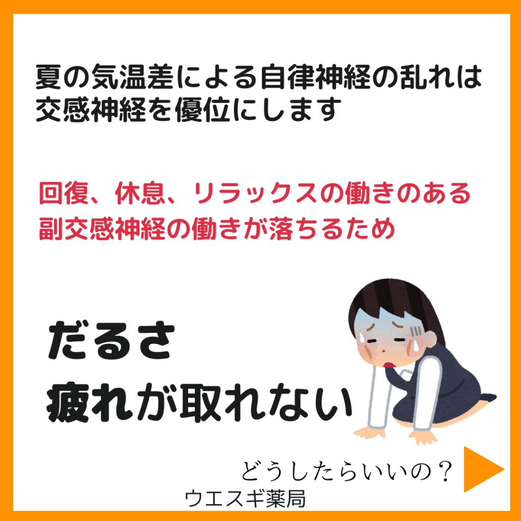 自律神経の乱れと夏バテ