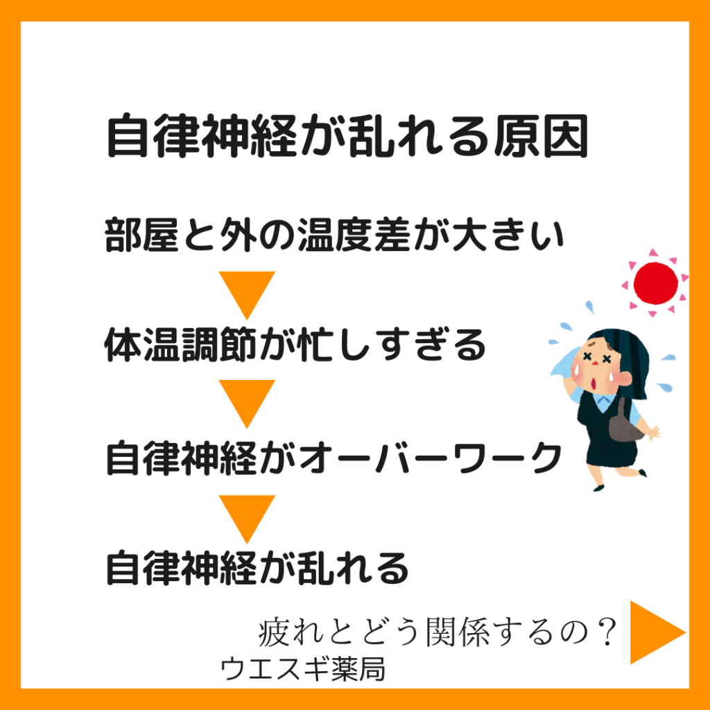 自律神経が乱れるわけ