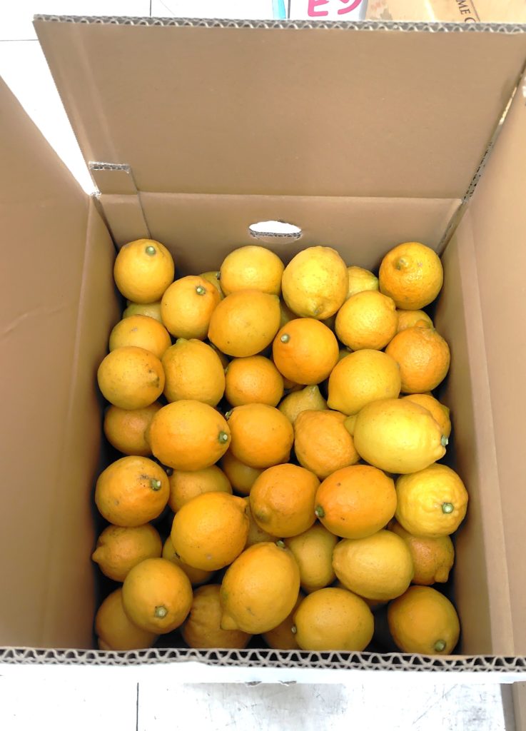 広島県無農薬レモン