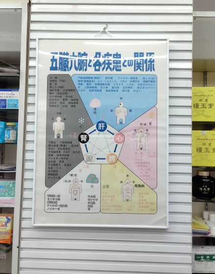 五臓六腑と各疾患の関係